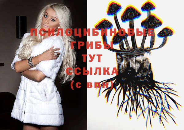 прущий лед Домодедово