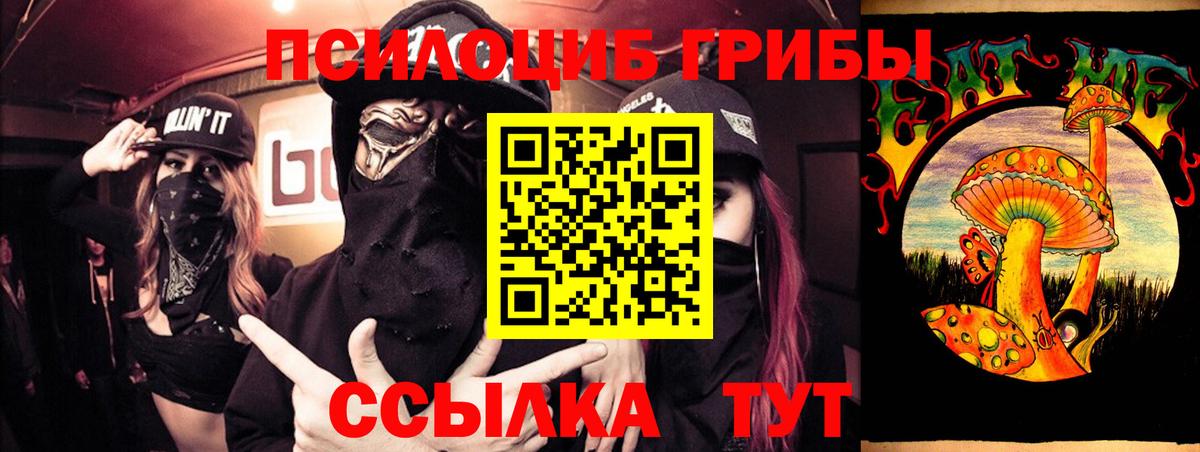 Псилоцибиновые грибы ЛСД  как найти наркотики  Галлюциногенные грибы Psilocybe  Балашов 