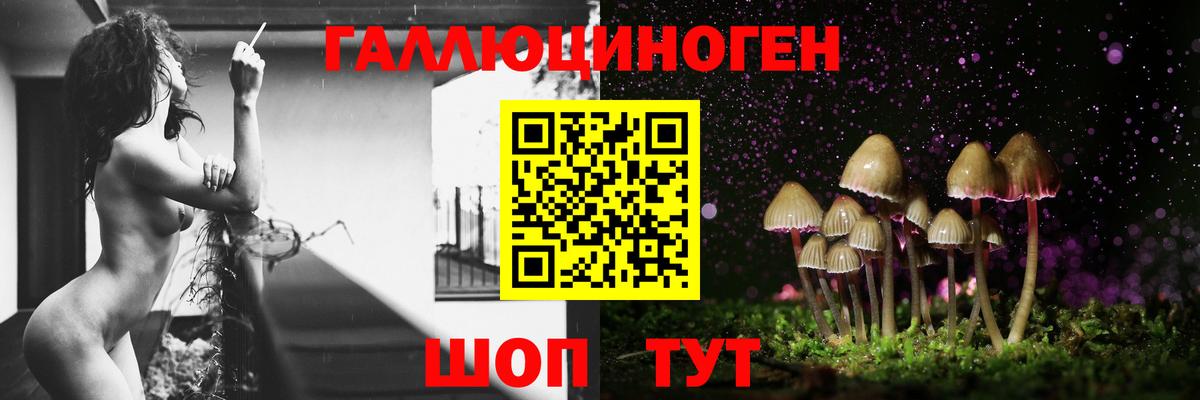 Псилоцибиновые грибы прущие грибы Балашов